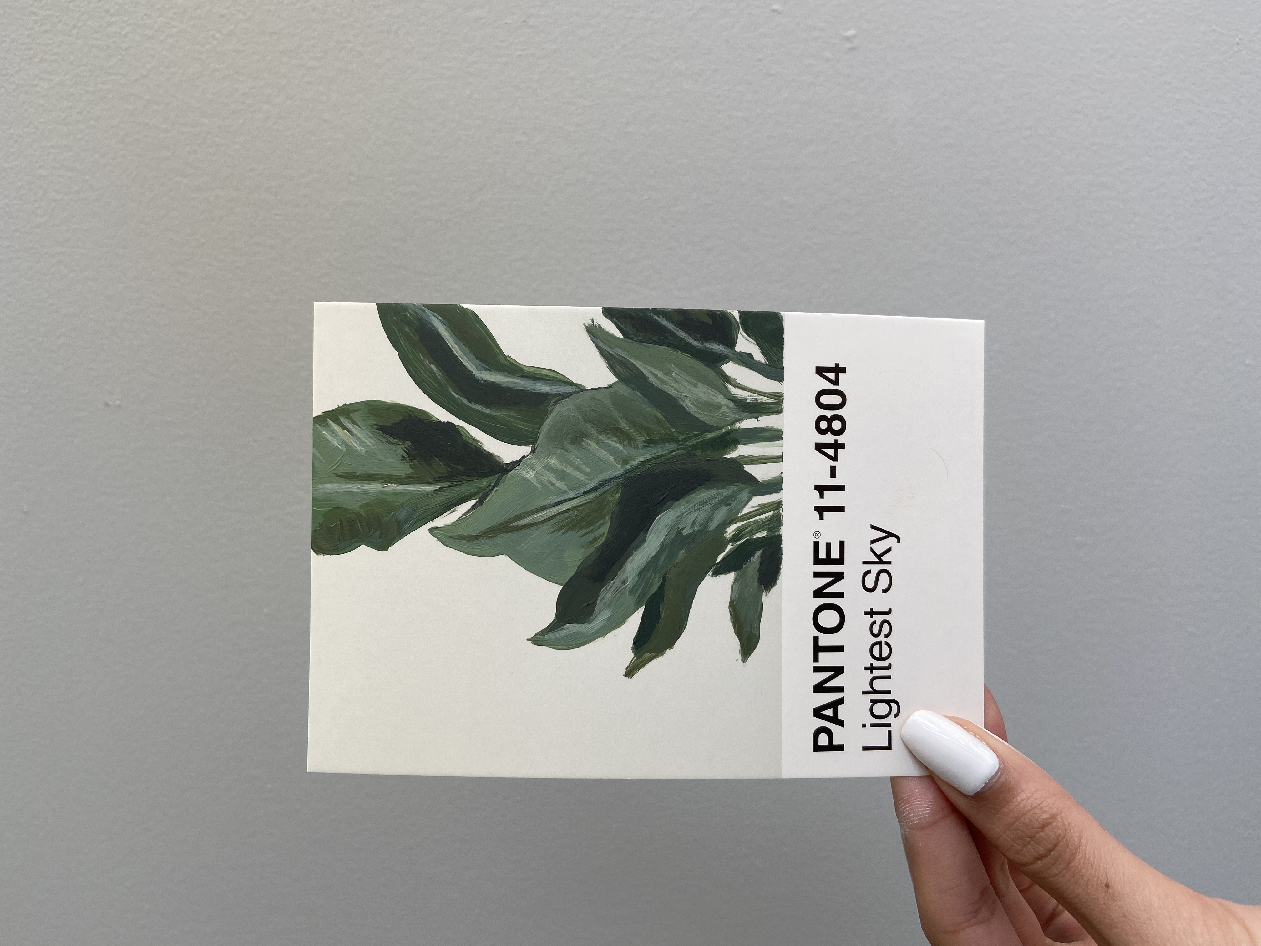 pantone 11-4804.jpg